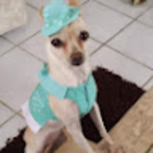 Meet your Posher, Aida